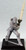 An image of Colton Maldriss, former head of the Liberty's Edge faction in the Pathfinder Society, charging into battle with both hands on his massive sword. (Front View)