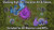 The top text reads: "Stunning High-Rez Character Art & Tokens," and the bottom text reads: Included for all Monsters and NPCs." The main part of the image depicts several creatures and characters from the module in a clearing with some rose bushes and a large purple portal.