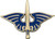Pathfinder Society Faction Pin: Liberty's Edge shows a blue and gold pin showing a sword, blade pointing upward, in front of a pair of outstretched blue wings with gold highlights.