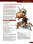 Tome of Beasts for 5th Edition PDF, kobold press product page featuring hundreds of new monsters and creatures for Dungeons & Dragons game, including drakes, spiders, demons, and ancient dragons statistics and abilities.