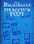 Øone's Blueprints: Dragon's Foot PDF, a fantasy architecture blueprint digital product with blue diagrams on a grid, featuring white title text on a blue cover, showcasing medieval-inspired design plans.