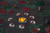 Dungeon Craft: Cursed Lands 2D terrain set featuring 1000 reversible tiles in red, green, and gray, with haunted forest, witchy cauldron, and creepy cemetery scenes, ideal for tabletop role-playing games and fantasy settings.