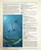 Journeys to the West PDF, underwater scene in the Western Ocean featuring mysterious islands, sunken ship, sea creatures and a sea-king, set against a vast, uncharted waters background, suitable for adventurers and pirates exploration.