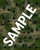 Sample image of forest map with grid for Pathfinder Flip-Mat: Basic Environments Multi-Pack.