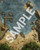 Pathfinder Flip-Mat: Coastline sample image depicts a sandy bay with two rowboats drawn up on the sand. An old pier with additional boats is on one side of the bay, and sheltering rocks emerge from the blue water on the other.