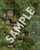 A sample image of one side of Pathfinder Flip-Mat: Bayou Hideout featuring a sprawling hideout in a bayou.