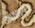Pathfinder Flip-Mat: Desert Ruins PDF sample image shows a map of a winding path that leads through a narrow valley toward a mysterious structure at the far end.