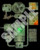 Pathfinder Flip-Mat: The Emerald Spire Flip-Mat Mega-Pack PDF sample image shows a map of a sinister underground shrine with curving tunnels and eerie chambers.