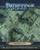 Pathfinder Flip-Mat: Sunken City PDF cover depicts a ship broken in pieces that has sunk underwater; Wet, Dry, and Permanent Markers Erase from the Mat