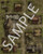 Pathfinder Flip-Mat: Ghost Towns sample image shows a map of an abandoned town consisting of one larger town hall and several smaller buildings built along overgrown streets.