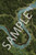 Pathfinder Flip-Mat: Enormous Forest PDF sample image shows a map of a section of woodland through which a twisting river flows toward a waterfall and a few remote buildings.
