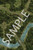 Pathfinder Flip-Mat: Enormous Forest PDF sample image shows a map of a forest with a river; a bridge crosses the river, while winding paths traverse the woods, one of which leads to a hidden campsite.