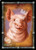 Pathfinder Cards: Animal Allies Face Cards sample card shows a pink pig facing us head-on.