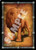 Pathfinder Cards: Animal Allies Face Cards sample card shows a male lion looking back over his shoulder.