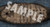 GameMastery Map Pack: Ship’s Cabins PDF sample tile of the interior of a wooden ship's hull