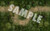 GameMastery Map Pack: Lost Island PDF sample tile of a dirt trail through a jungle