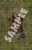 Pathfinder Map Pack: Army Camp PDF sample tile of a catapult with ammunition piled on the ground beside it
