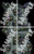 Product image displays four battle map tiles that create a fungal forest together.