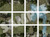 This product image displays 12 battle map tiles of forest terrain.