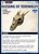 Pathfinder Adventure Card Game Promo Card: Blessing of Terendelev, a beige dragon skull illustration on a beige background, featuring divine powers, from Pathfinder Adventure Card Game, Paizo Inc, 3.5 x 2.5 inches, a campaign addition for Pathfinder players.