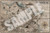 Pathfinder Mummy's Mask Poster Map Folio, a 36" x 24" vintage-style map folio featuring Osirion desert landscapes, including Wati and Tephu cities, with compass and borders, designed for the Pathfinder campaign setting adventure.