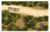 High-resolution VTT map, Road and Wagon, featuring a desert landscape with a wooden wagon, trees, and sandy terrain, available in large size for Roll20, d20pro, Fantasy Grounds, no grid, transparent background.