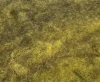 Blended Batt--Lichen