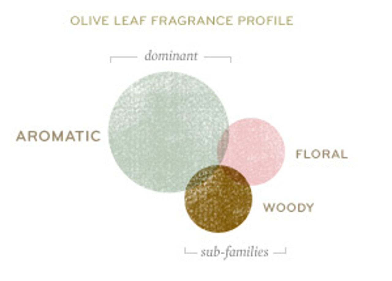 Thymes Olive Leaf Cologne - Distinctive Decor