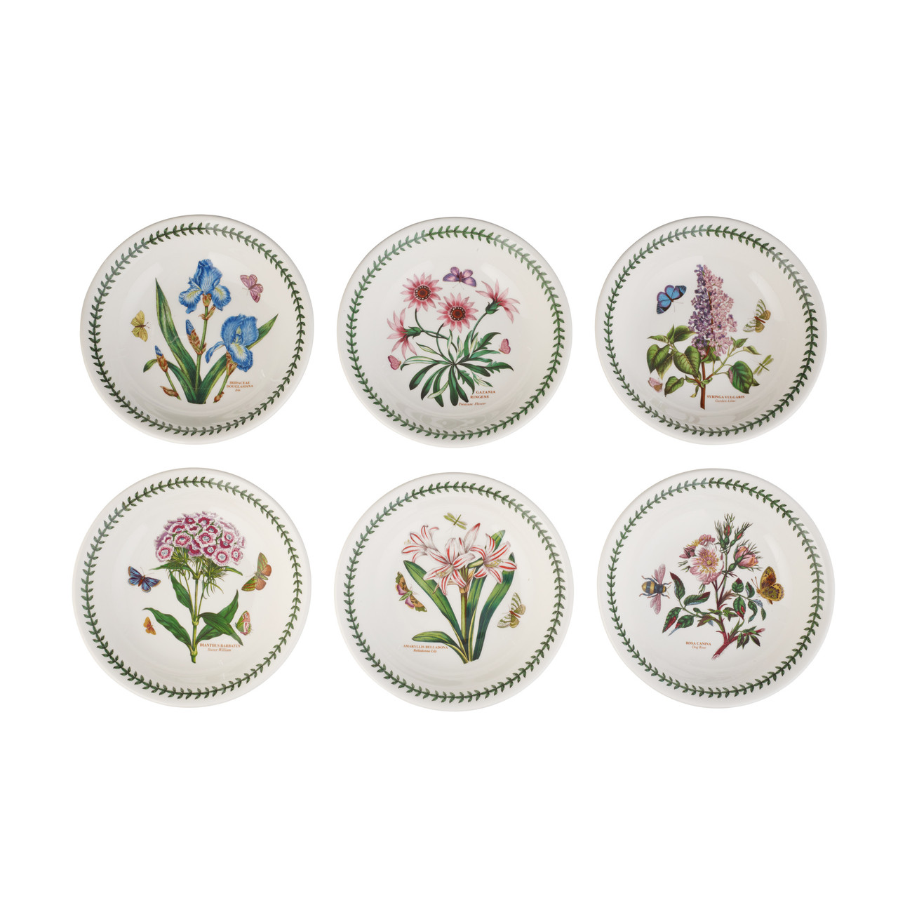 Portmeirion Botanic Garden Pasta Bowls Set of 6 Assorted Motifs