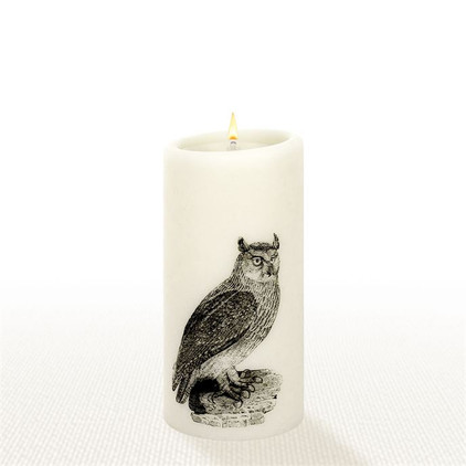 Lucid Liquid Candles -  3x6 Owl Natural Pillar Candle