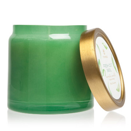 Thymes Fresh-Cut Basil Glass Jar Candle 16 oz
