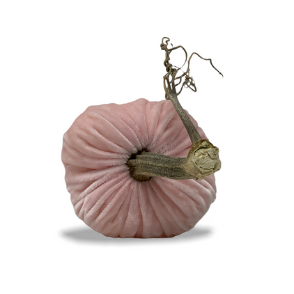 Plush Pumpkin Velvet Pale Pink 6 Inch