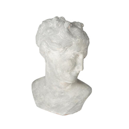 Abigails Pompeii Venus Bust Gray
