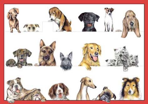 Caspari Dogs Assorted Note Cards