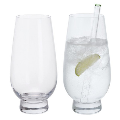 Dartington Gin Highball Pair