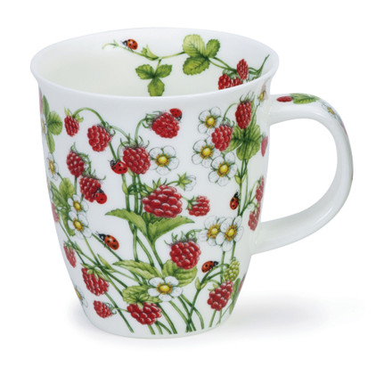 Dunoon Nevis Wild Fuits Raspberry Mug