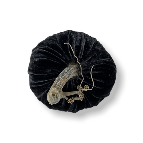 Plush Pumpkin Velvet Charcoal 6 Inch