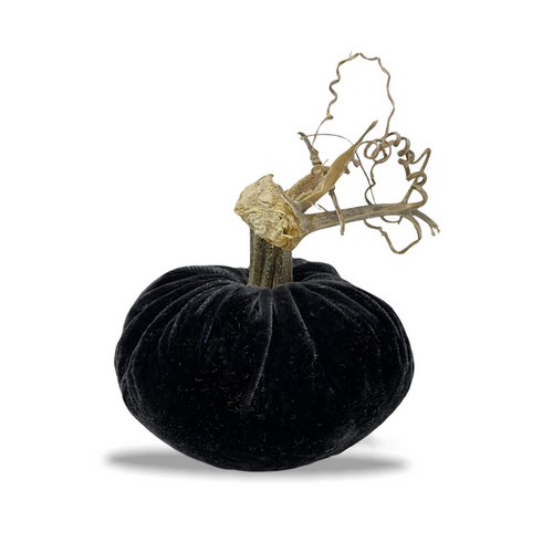 Plush Pumpkin Velvet Charcoal 4 Inch