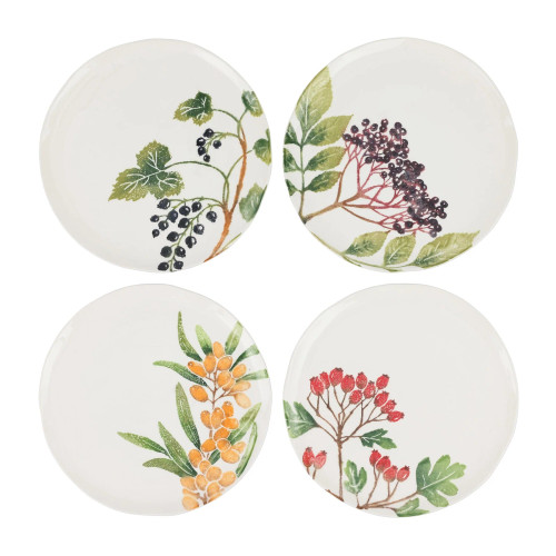 Vietri Foresta Primavera Assorted Salad Plates - Set of 4