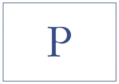 Caspari Navy Embossed Note Cards Initial P