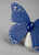 Lladro Butterfly Sculpture (Blue-Gold)