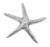 Mariposa Spiny Starfish Napkin Weight