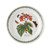 Portmeirion Botanic Garden Salad Plate Begonia Deuringerii (Set of 6)