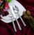 Ricci Flatware Leopardo Place Spoon