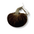 Plush Pumpkin Velvet Acorn 8 Inch