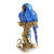 Jay Strongwater Macaws on Branch Figurine