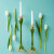 Jay Strongwater Tulip Medium Candle Stick Holder