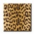 Caspari Zanzibar Leopard Print Luncheon Napkins (20)