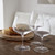 Costa Nova Chardonay 19 oz. Glass (Vite) - Set of 6