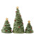 Skyros Designs Estrela Natal Pinheiro Bravo Green